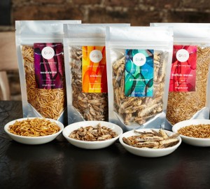 Grub Edible Insect Pack