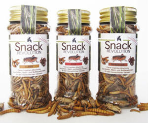 Insect Snacks