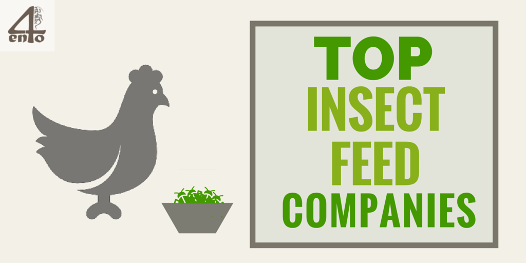 Top Insect Feed Companies