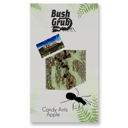 Bush Grub Candy Ants Bar